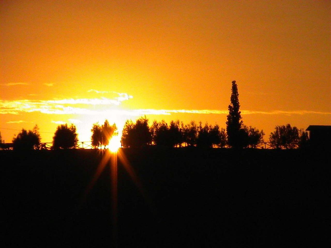 Agriturismo Le Docce Castelfiorentino Eksteriør billede